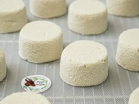 Commerces et services