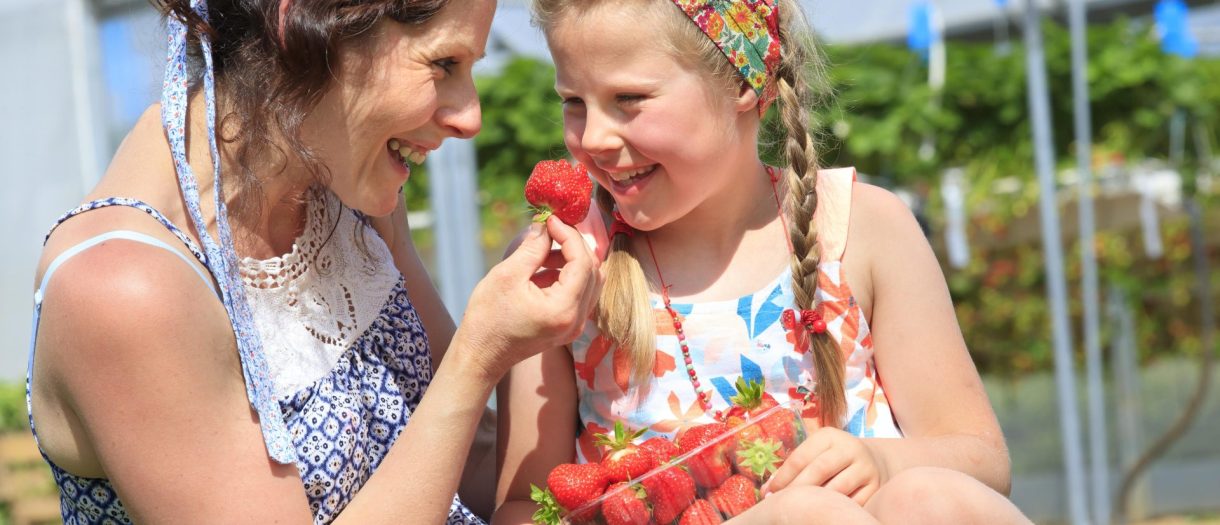 Haut-Pays de Gourmandise