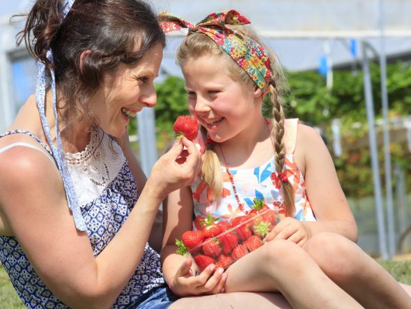 Haut-Pays de Gourmandise