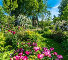 Fressin, Ô jardin Paisible