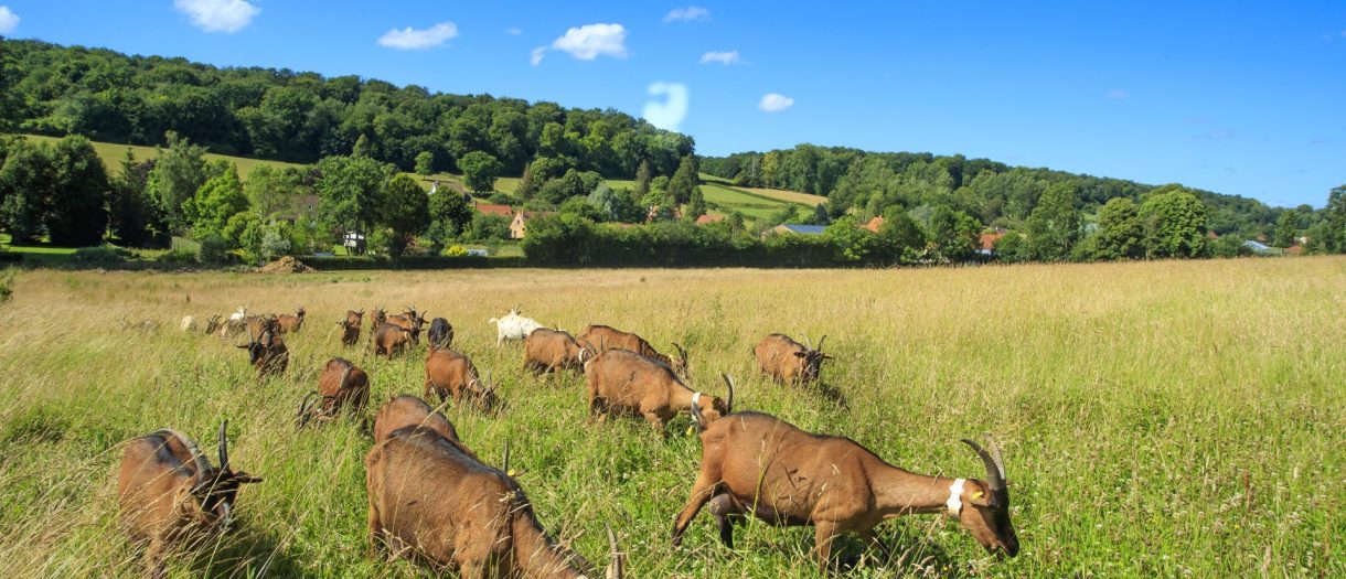 Activités de loisirs