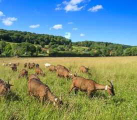 Activités de loisirs