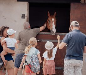 Haut-Pays de Rencontres