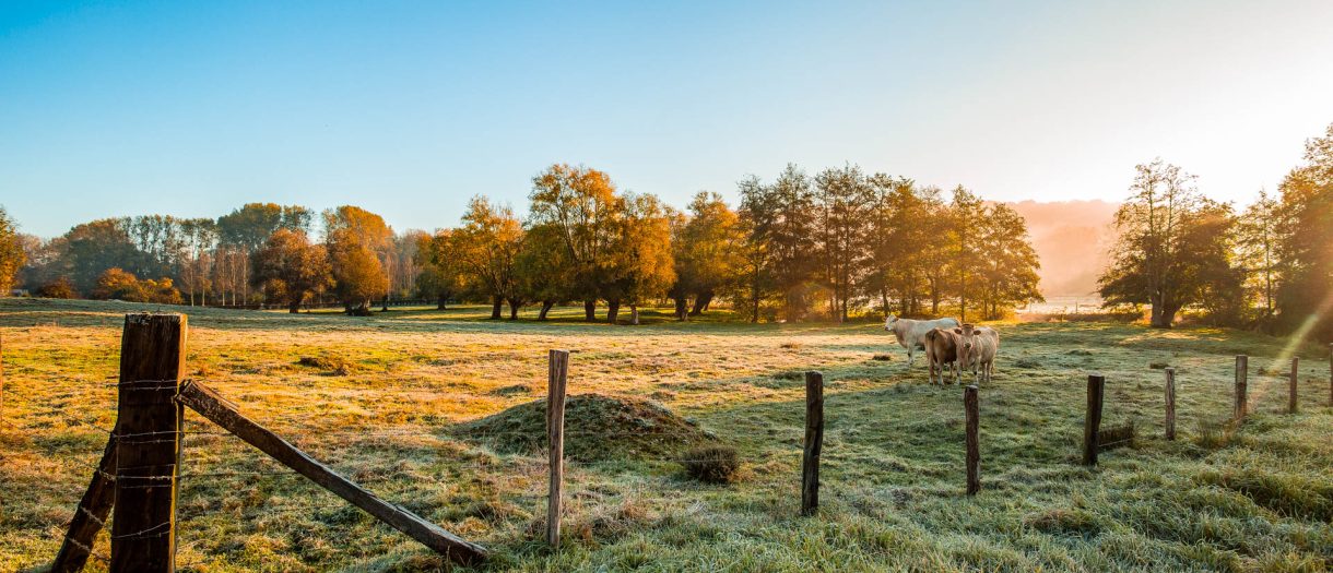 La météo du jour et du lendemain