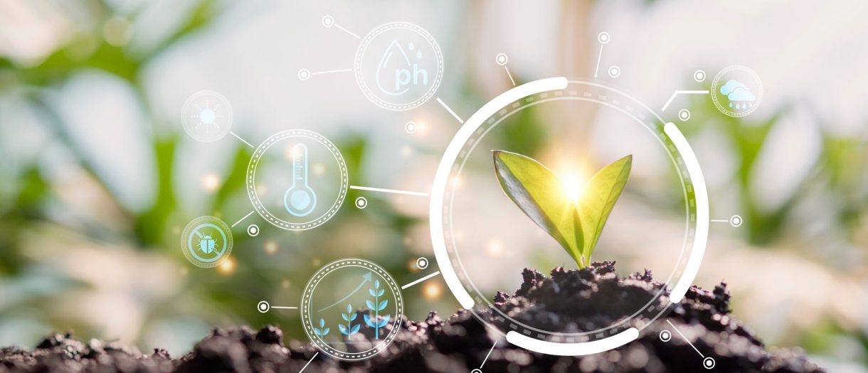 Labellisation des producteurs locaux