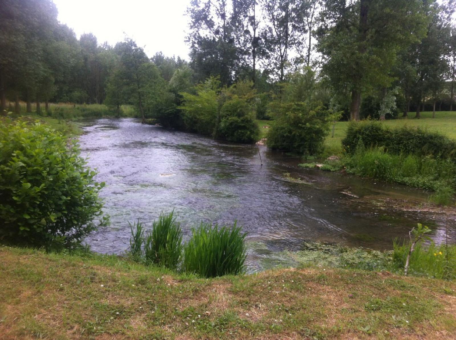 Enguinehaut