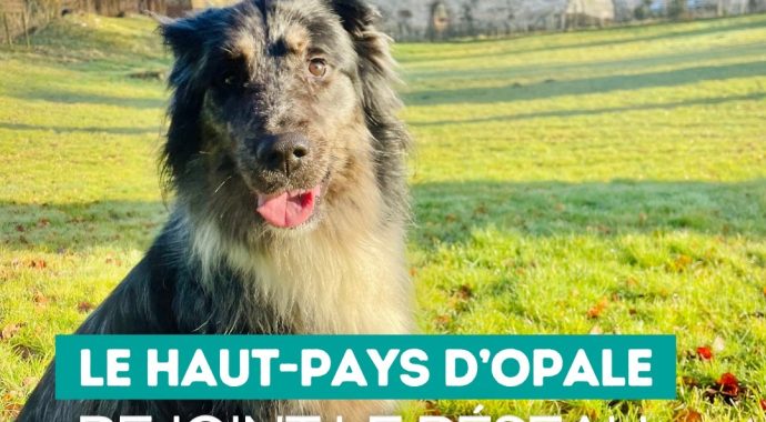 Le Toutourisme dans le Haut-Pays d’Opale