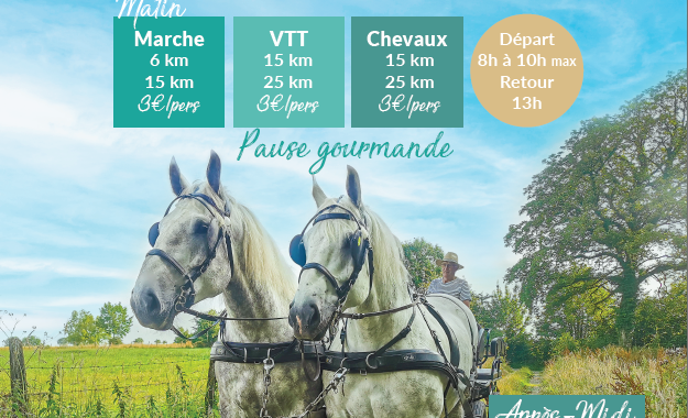 Fête de l’Attelage – Une journée pour les amoureux de la nature et du cheval