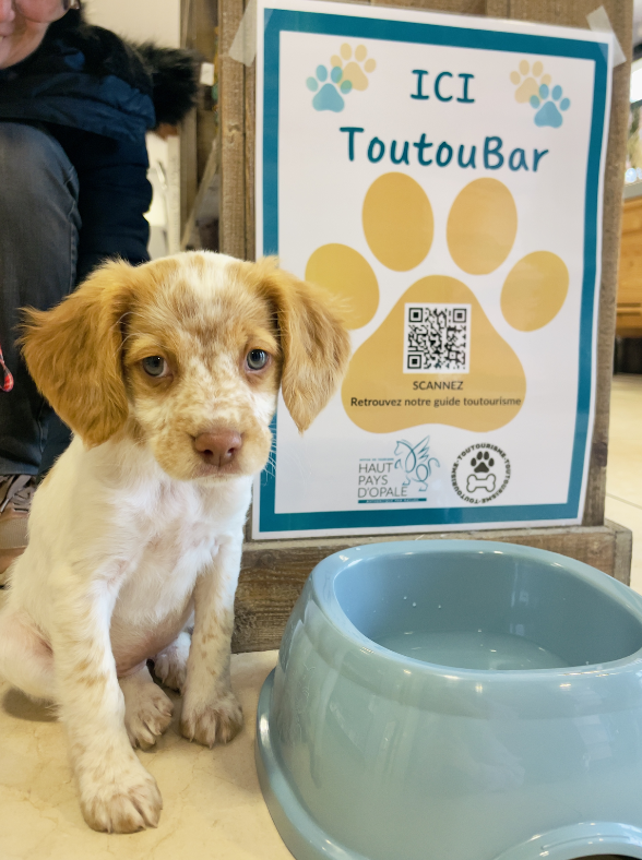 toutourisme-office-de-tourisme-hucqueliers-pas-de-calais