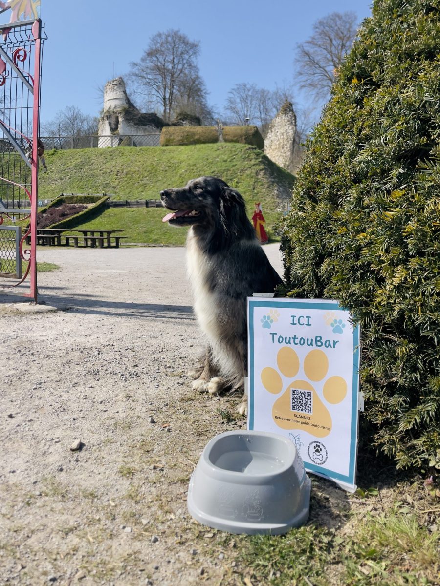vacances-avec-son-chien-hauts-de-france