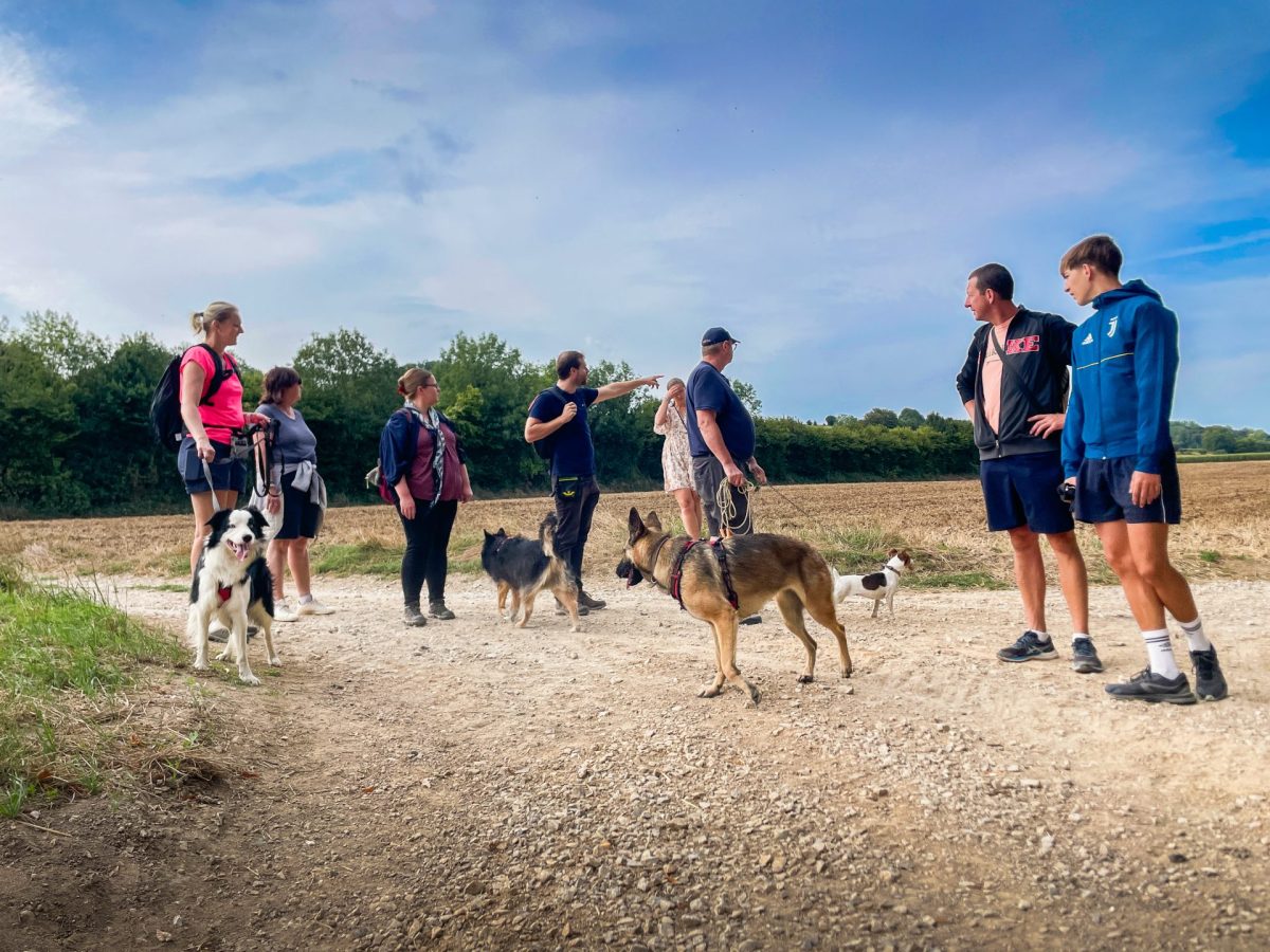 toutourisme france - fressin-balade-avec-son-chien