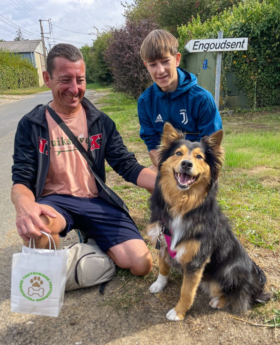 vacances-avec-son-chien-pas-de-calais