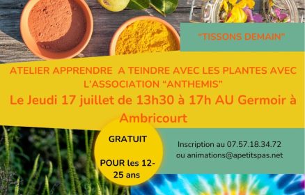 Atelier apprendre à teindre avec les plantes