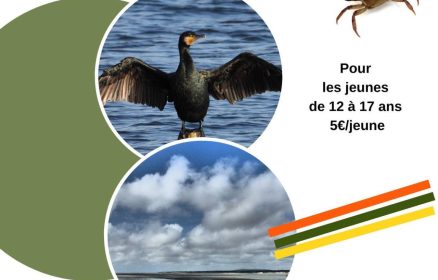 Sortie Jeunesse avec À l’Air Libre