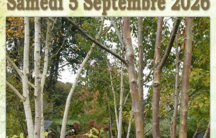 Fête des Plantes à Fressin Ô Jardin Paisible