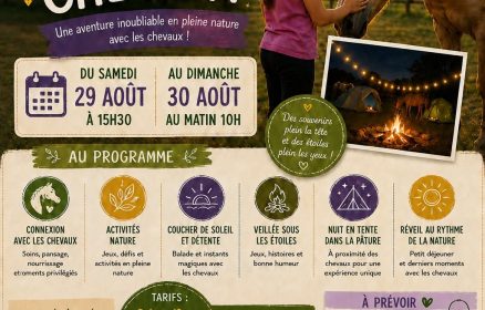 Une nuit au rythme des chevaux