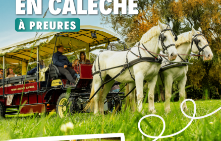 Balade en calèche