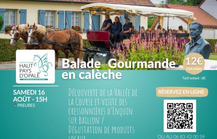 Balade en calèche – 16 août