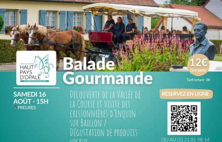 Balade en calèche