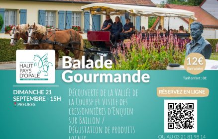 Balade en calèche