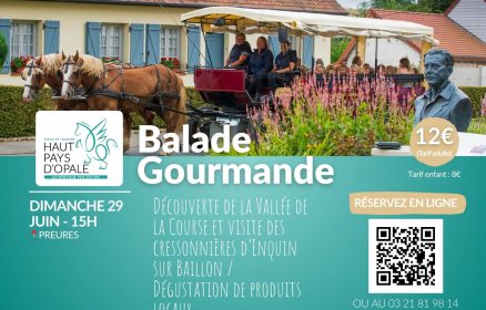 Balade en calèche