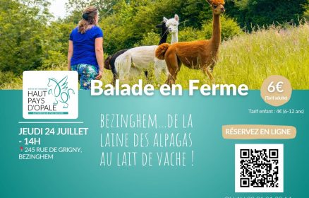 Balade en ferme à Bezinghem