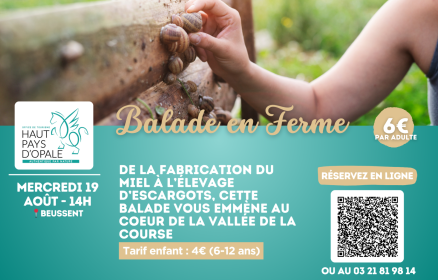 Balade en ferme – Mercredi 19 août