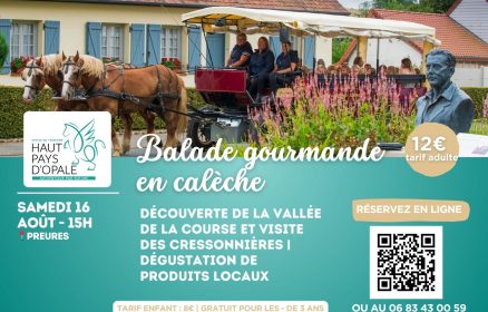 Balade en calèche – 16 août