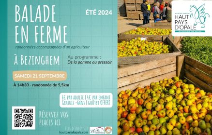 Balade en ferme à Bezinghem…De la pomme au pressoir – 21 septembre 2024