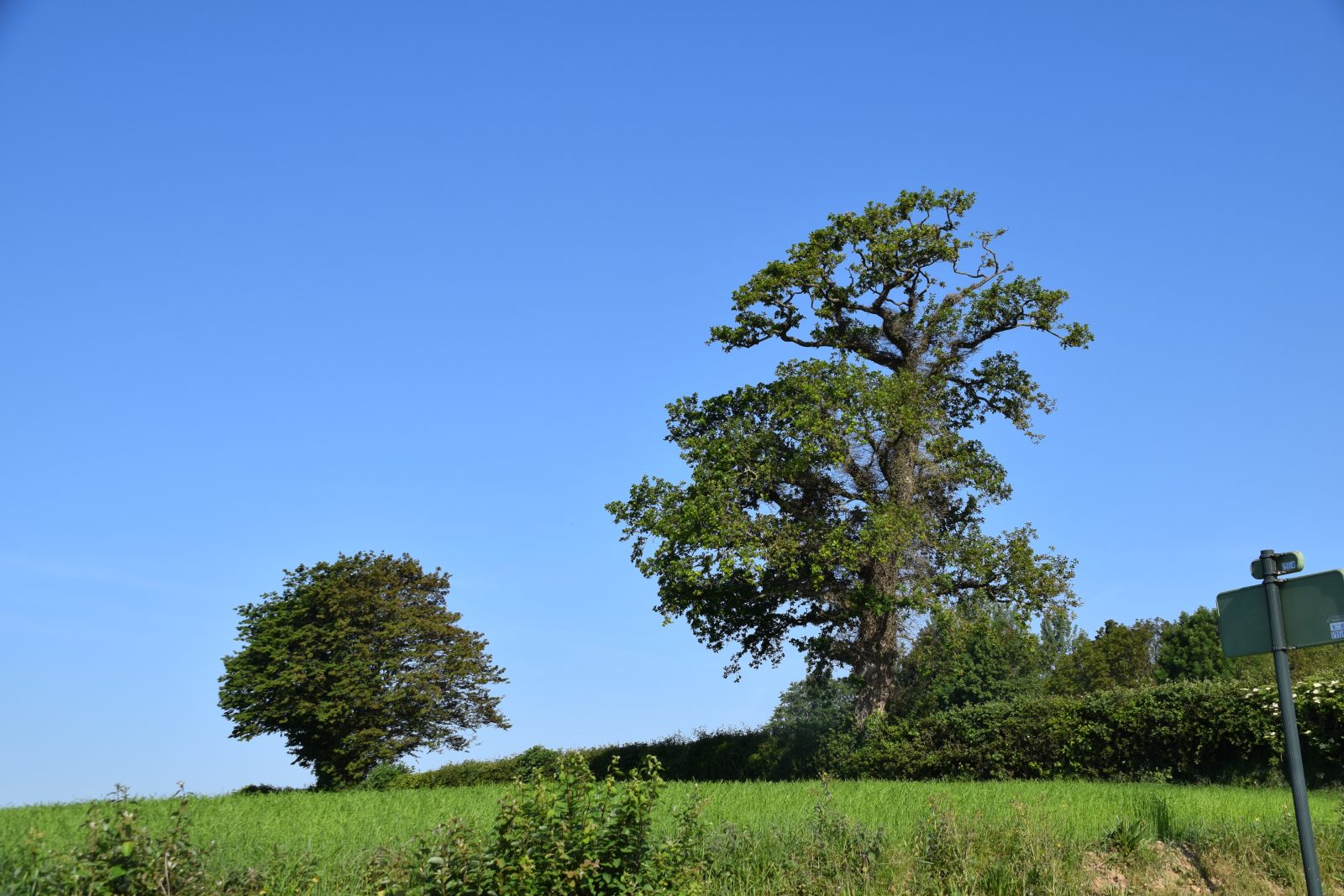 Le Tour des Haies