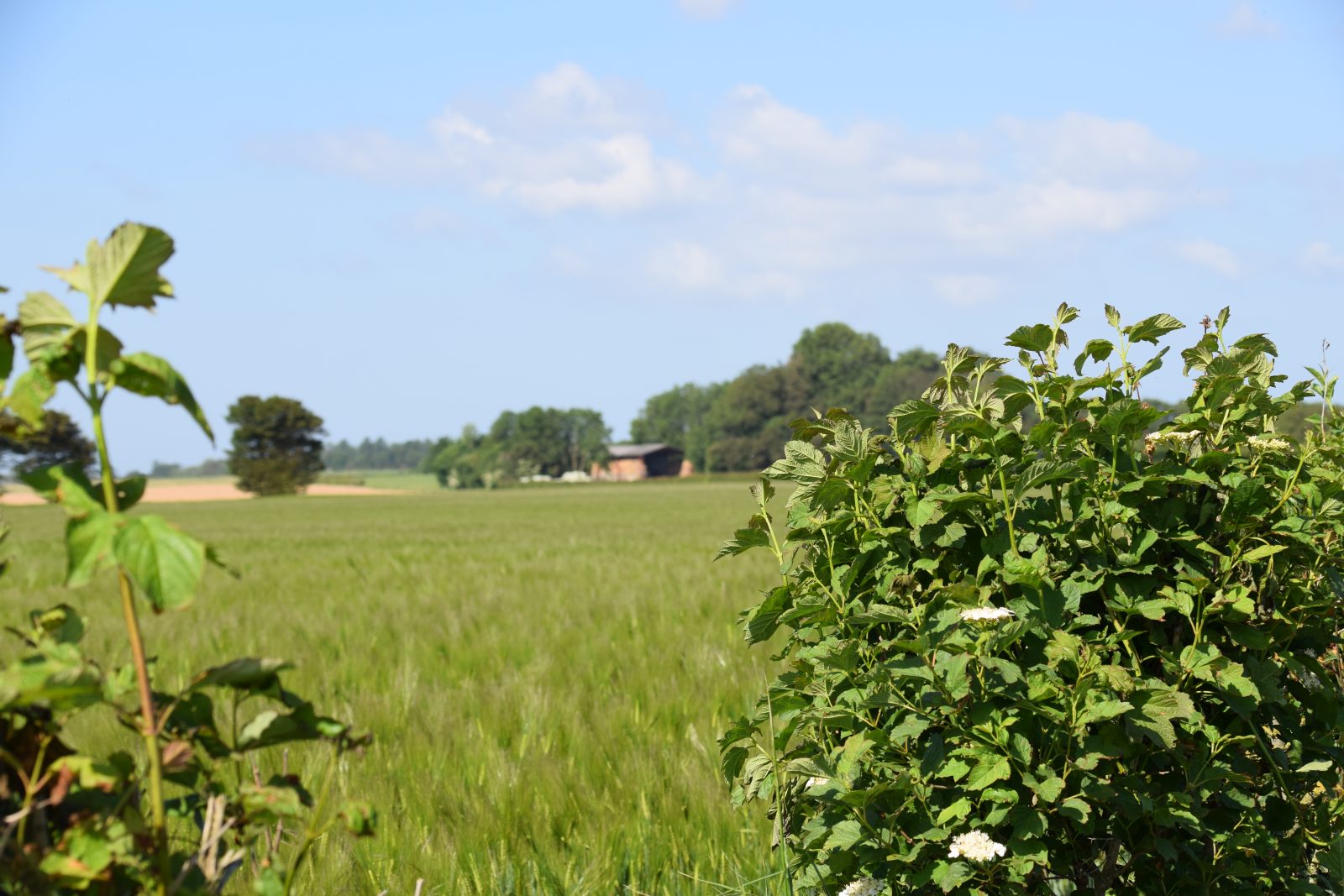 Le Tour des Haies