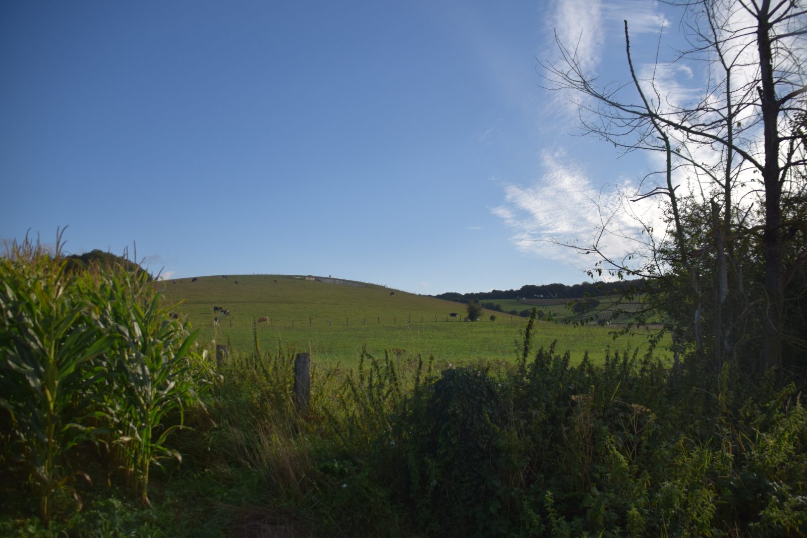 Le Mont Caudron