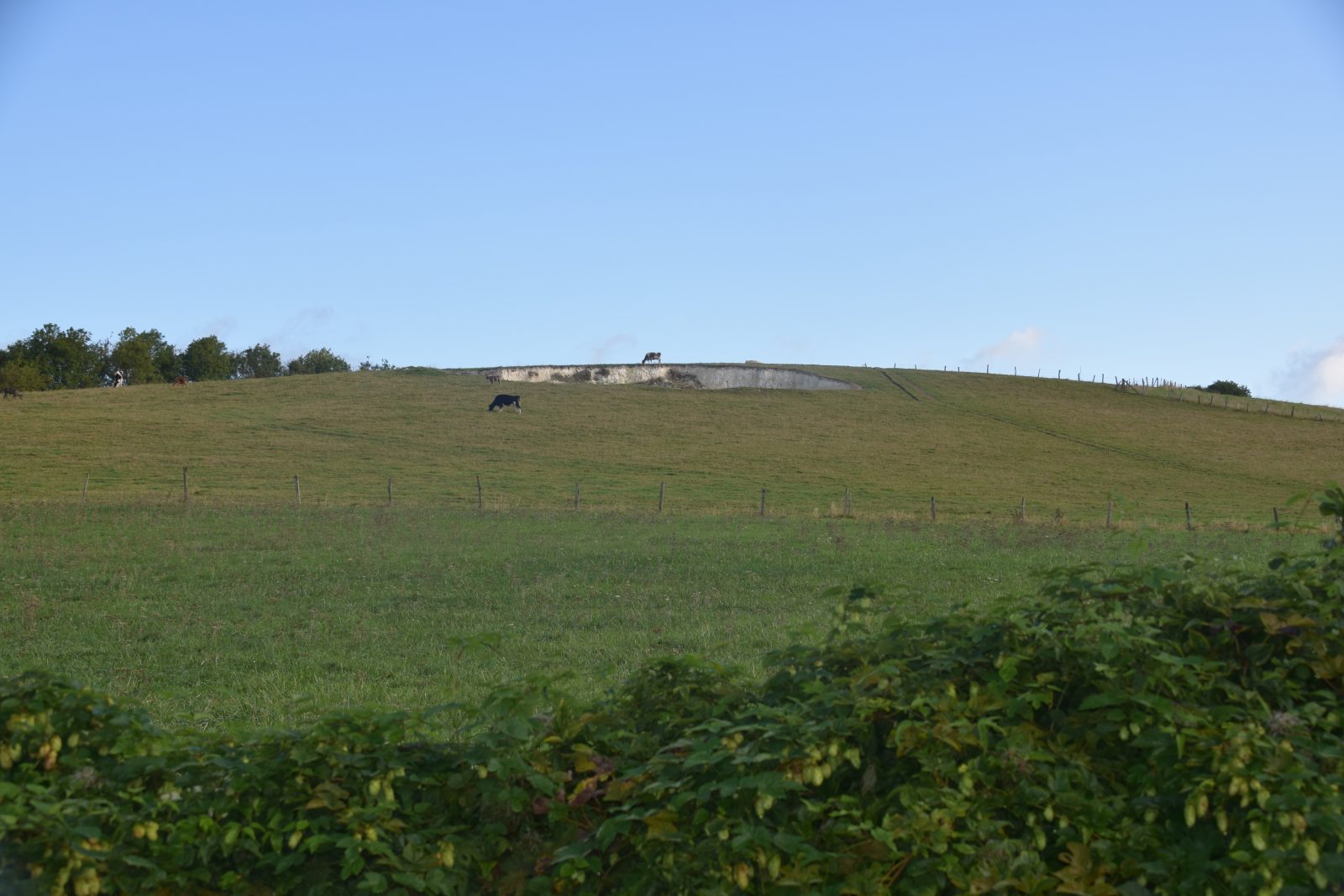 Le Mont Caudron