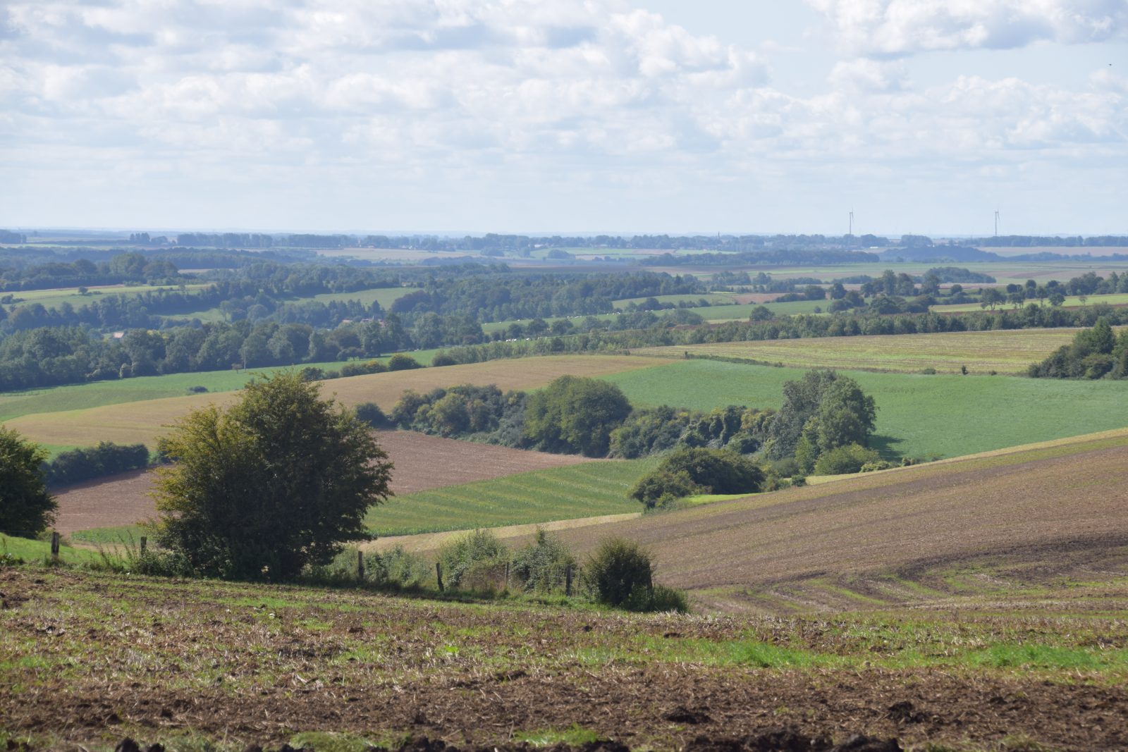 Le Mont Caudron