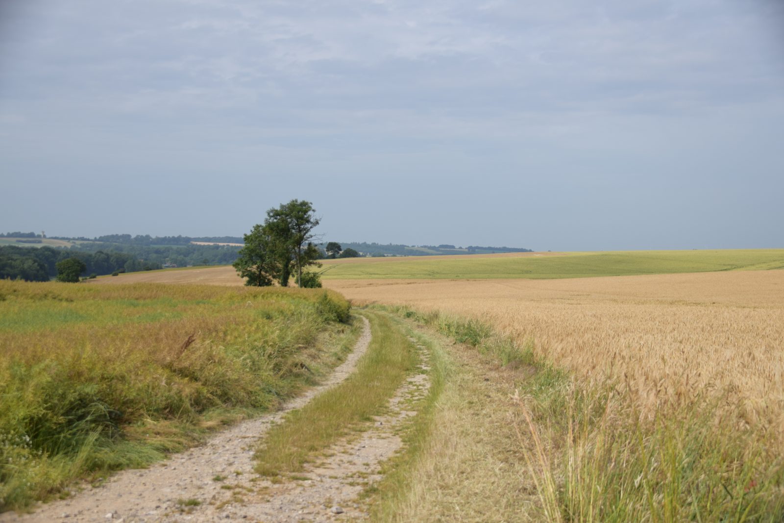 Le Thièvremont