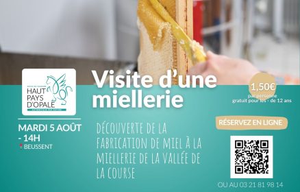 Découverte de la fabrication du miel