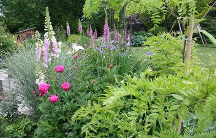Fête des Plantes et du Jardin