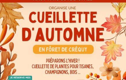 Cueillette d&rsquo;automne : préparons l&rsquo;hiver