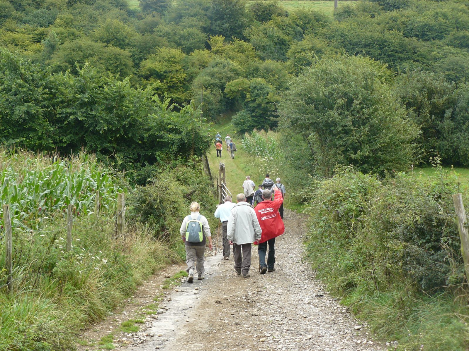 Les Mottes Féodales