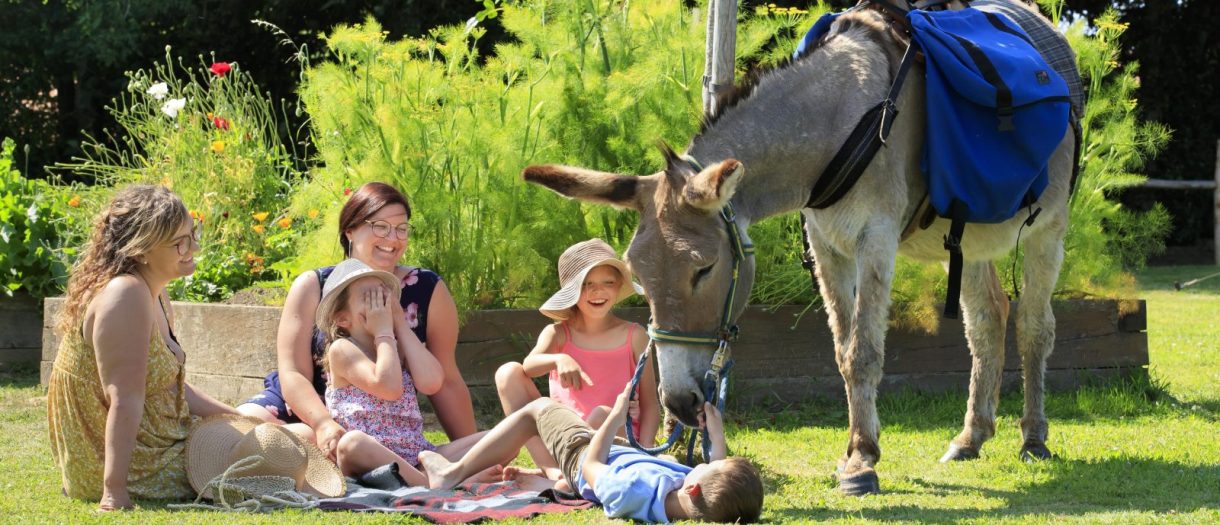 À Petits Pas à Ruisseauville