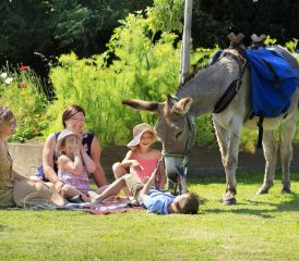 À Petits Pas à Ruisseauville