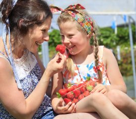 Les Fraises de Coupelle