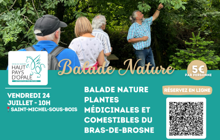 Balade nature plantes médicinales et comestibles du Bras-de-Brosne