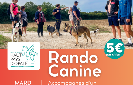 Rando Canine Haut-Pays d’Opale