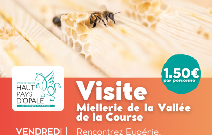 Visite – miellerie de la Vallée de la Course à Beussent